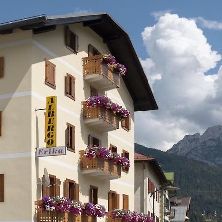 Hotel Erika Auronzo di Cadore Eksteriør billede