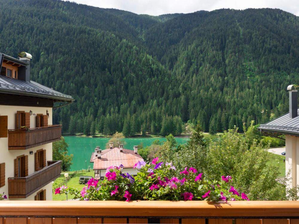 Hotel Erika Auronzo di Cadore Eksteriør billede